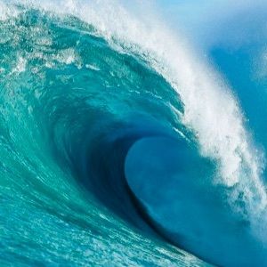 Meet your Posher, Lina